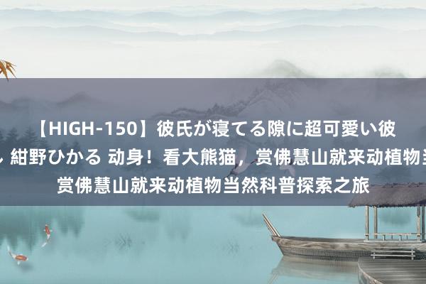 【HIGH-150】彼氏が寝てる隙に超可愛い彼女を襲って中出し 紺野ひかる 动身!看大熊猫,赏佛慧山就来动植物当然科普探索之旅