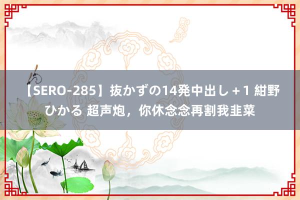 【SERO-285】抜かずの14発中出し+1 紺野ひかる 超声炮,你休念念再割我韭菜