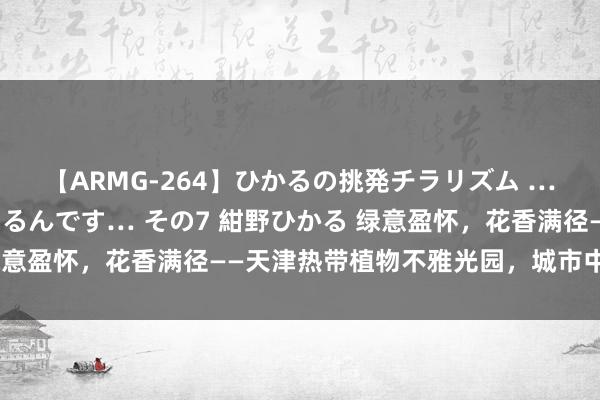 【ARMG-264】ひかるの挑発チラリズム …従妹が小悪魔すぎて困るんです… その7 紺野ひかる 绿意盈怀,花香满径——天津热带植物不雅光园,城市中的绿洲