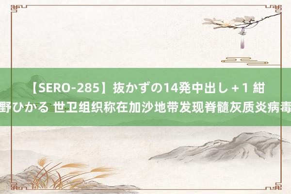 【SERO-285】抜かずの14発中出し+1 紺野ひかる 世卫组织称在加沙地带发现脊髓灰质炎病毒