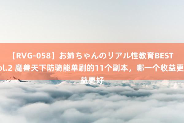 【RVG-058】お姉ちゃんのリアル性教育BEST vol.2 魔兽天下防骑能单刷的11个副本,哪一个收益更好