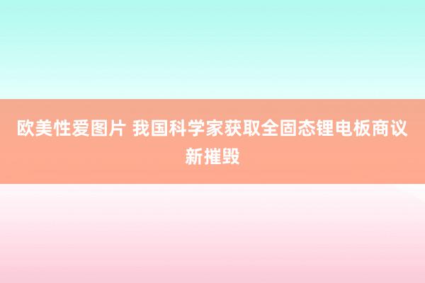 欧美性爱图片 我国科学家获取全固态锂电板商议新摧毁