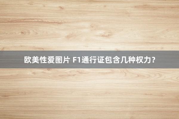 欧美性爱图片 F1通行证包含几种权力？