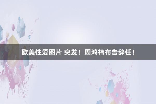 欧美性爱图片 突发!周鸿祎布告辞任!