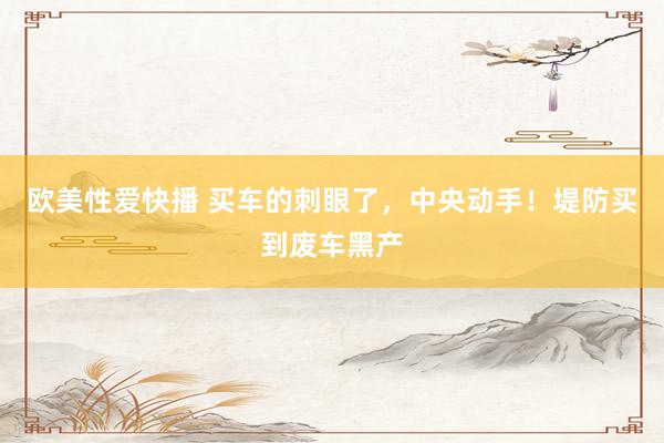 欧美性爱快播 买车的刺眼了,中央动手!堤防买到废车黑产