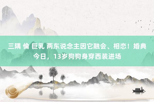 三隅 倫 巨乳 两东说念主因它融会、相恋!婚典今日,13岁狗狗身穿西装进场