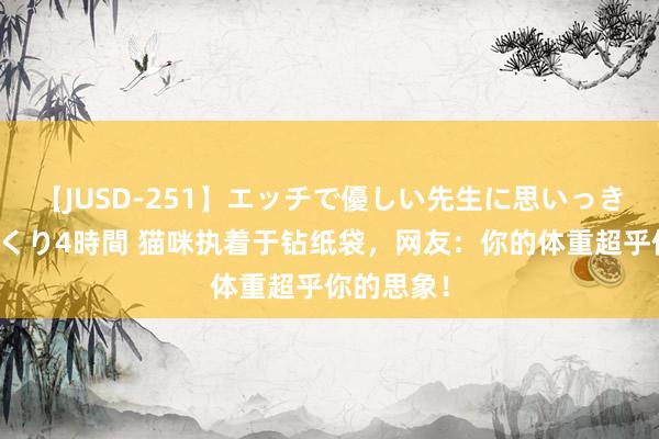 【JUSD-251】エッチで優しい先生に思いっきり甘えまくり4時間 猫咪执着于钻纸袋,网友:你的体重超乎你的思象!