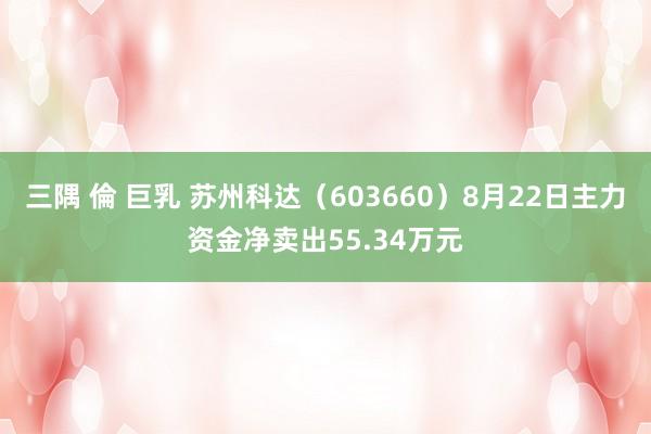 三隅 倫 巨乳 苏州科达(603660)8月22日主力资金净卖出55.34万元