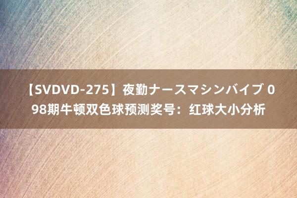 【SVDVD-275】夜勤ナースマシンバイブ 098期牛顿双色球预测奖号:红球大小分析