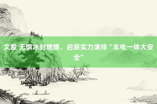 文爱 无惧冰封燃爆，启辰实力演绎“车电一体大安全”