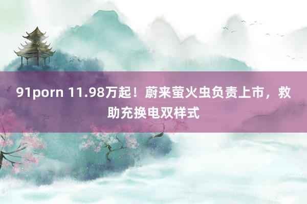 91porn 11.98万起！蔚来萤火虫负责上市，救助充换电双样式
