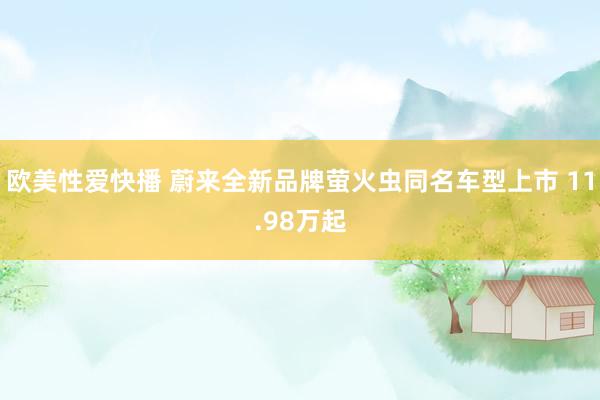 欧美性爱快播 蔚来全新品牌萤火虫同名车型上市 11.98万起