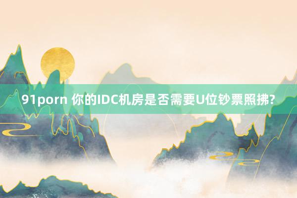 91porn 你的IDC机房是否需要U位钞票照拂?