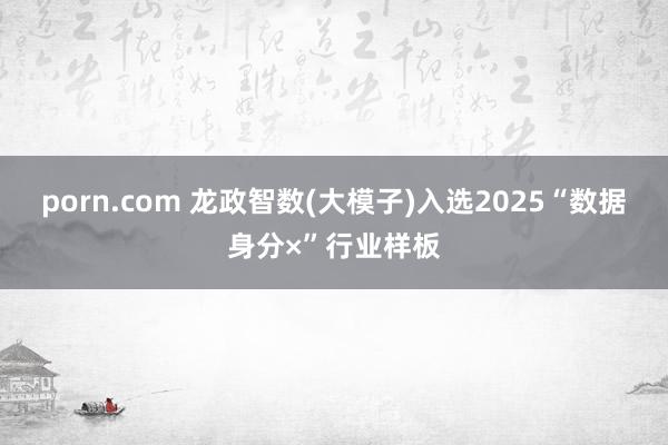 porn.com 龙政智数(大模子)入选2025“数据身分×”行业样板
