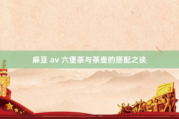 麻豆 av 六堡茶与茶壶的搭配之谈
